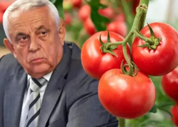 Petre Daea, contrazis de Corpul de control al ministerului, în scandalul roșiilor coapte forțat! „Au fost cazuri izolate”