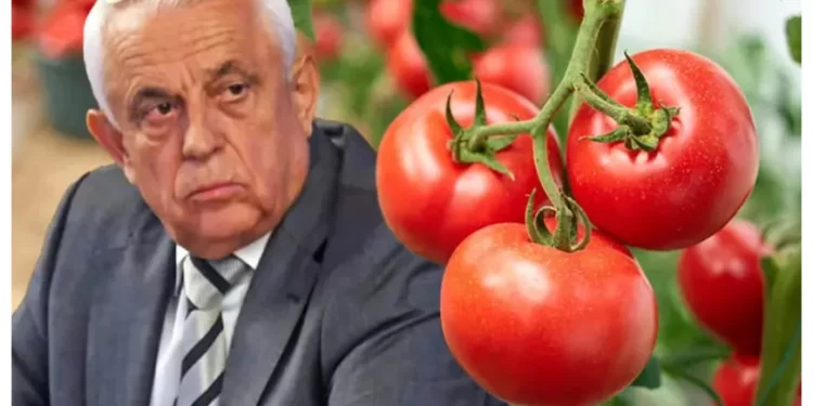 Petre Daea, contrazis de Corpul de control al ministerului, în scandalul roșiilor coapte forțat! „Au fost cazuri izolate”