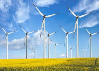 De ce scade preţul la energie? Energia eoliană ia avânt!