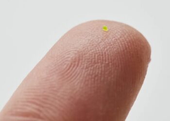 O gentuță „mai mică decât un bob de sare” se vinde cu peste 63.000 $!