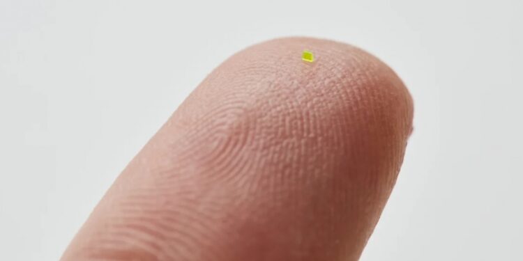 O gentuță „mai mică decât un bob de sare” se vinde cu peste 63.000 $!