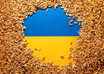 Ești agricultor? România nu dă doi bani pe tine! Politicienii intenționează să extindă capacitatea de tranzit de cereale ucrainene!
