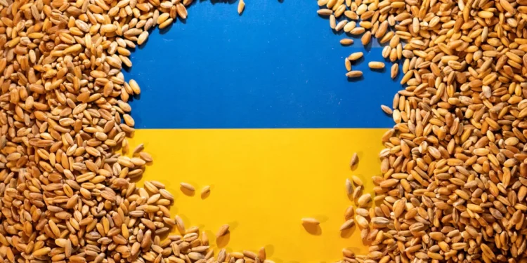 Ești agricultor? România nu dă doi bani pe tine! Politicienii intenționează să extindă capacitatea de tranzit de cereale ucrainene!