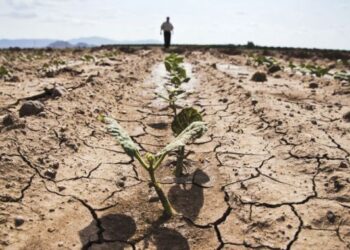 Comisia Europeană va aloca României 33,9 milioane euro, după seceta din 2022!