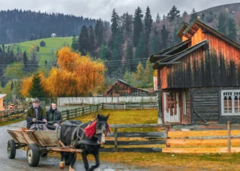 Turismul din România și-a revenit după pandemie!