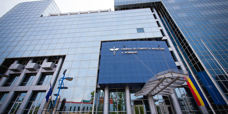 Liniile Aeriene Române, o nouă companie aviatică căpușă propusă de CCIR