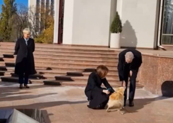 Suflet de român! Președintele Austriei, mușcat de mână de câinele Maiei Sandu!
