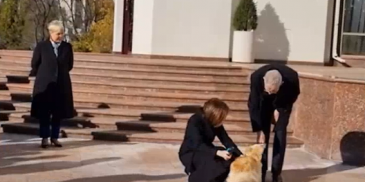 Suflet de român! Președintele Austriei, mușcat de mână de câinele Maiei Sandu!