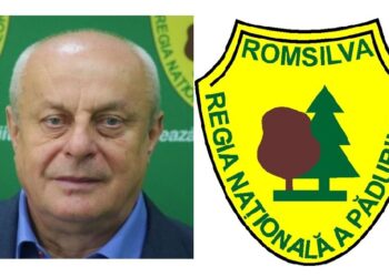 Romsilva a alocat în acest an peste 220 de milioane de lei pentru regenerarea fondului forestier!