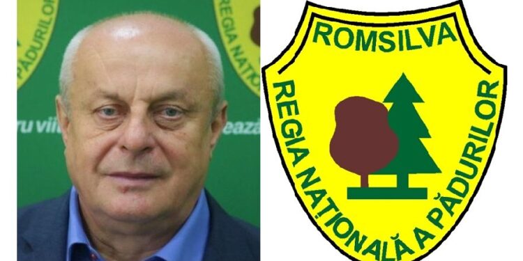 Romsilva a alocat în acest an peste 220 de milioane de lei pentru regenerarea fondului forestier!