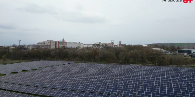 PNRR: Antibiotice Iași a pus în funcțiune o centrală fotovoltaică de 2,5 MW