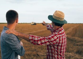 Legea arendei s-ar putea schimba! La ce vor fi supuși fermierii?