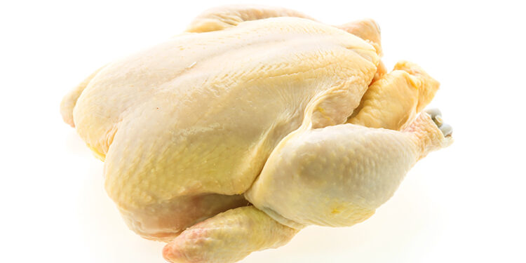 Ce înseamnă, „hrănit cu porumb”? Ce zice ANPC și despre puii cu salmonella?
