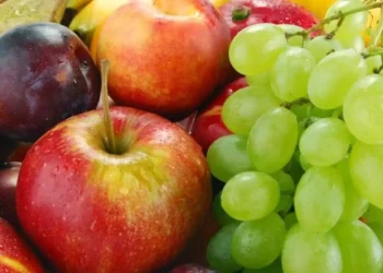 Produsele agricole exportate din Republica Moldova în Marea Britanie, scutite de taxe