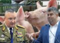 Banca Mondială bagă fermierii în faliment! Recomandă reducerea ajutoarelor pentru crescătorii de animale