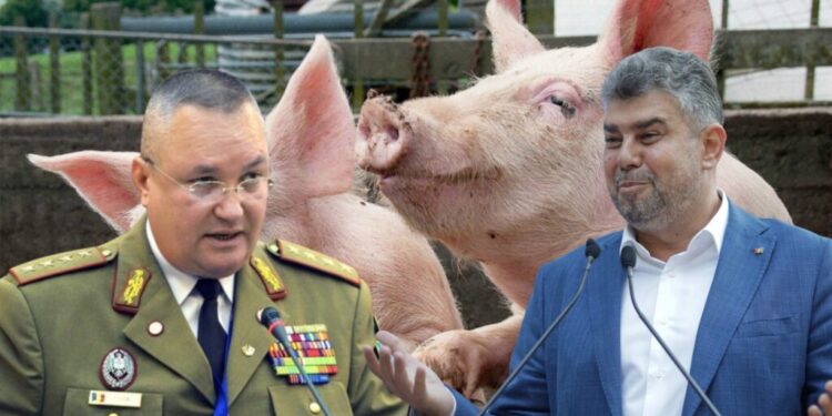 Banca Mondială bagă fermierii în faliment! Recomandă reducerea ajutoarelor pentru crescătorii de animale