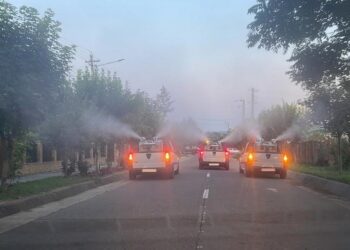 Primăria Miroslava începe acțiunile de dezinsecție!