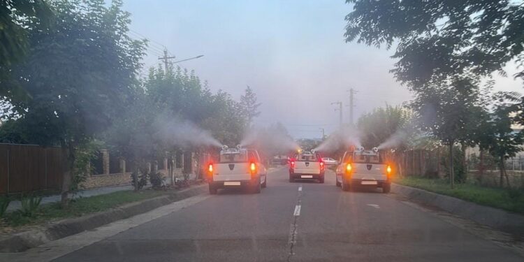 Primăria Miroslava începe acțiunile de dezinsecție!