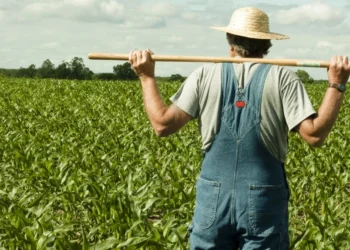 AFIR lansează sesiunea de finanțare pentru rambursarea primelor de asigurare a culturilor, animalelor și plantelor