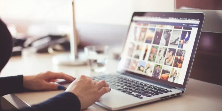 Pentru ce au folosit europenii internetul în anul 2024?