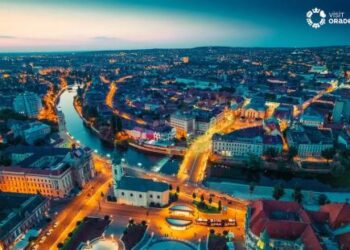 Care sunt cele mai mari 20 de companii din județul Bihor?
