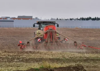 România a ajuns cel mai mare exportator de grâu din Uniunea Europeană