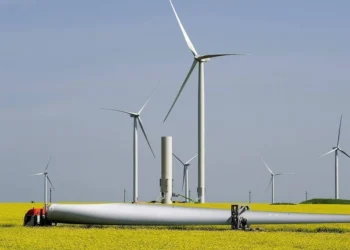 Eurowind va face în România cel mai mare parc eolian din Europa