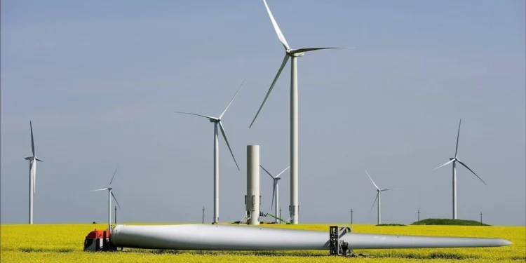 Eurowind va face în România cel mai mare parc eolian din Europa