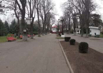 Reparații capitale la Parcul Copou din Vaslui! Modificări importante la alei, împrejmuire și un nou turn de observație!