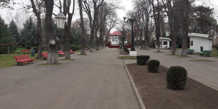 Reparații capitale la Parcul Copou din Vaslui! Modificări importante la alei, împrejmuire și un nou turn de observație!