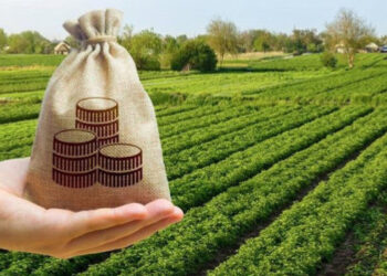 AIPA a dat săptămâna trecută subvenții în valoare de peste 52 milioane de lei moldovenilor