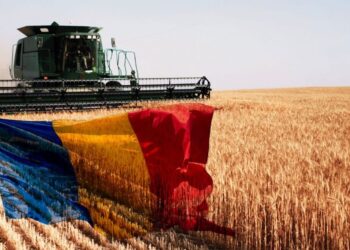 România a redevinit grânarul Europei după 30 de ani!