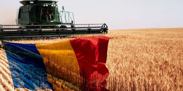 România a redevinit grânarul Europei după 30 de ani!