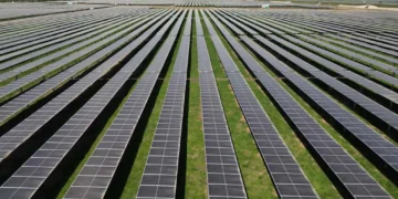 Turcii se extind agresiv în domeniul regenerabil în România: Defic Globe a cumpărat 15 proiecte!