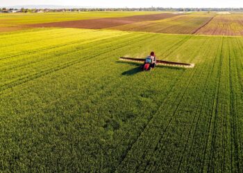 De ce pierderea nutrienților înseamnă și pierdere economică: logica circularității în agricultură