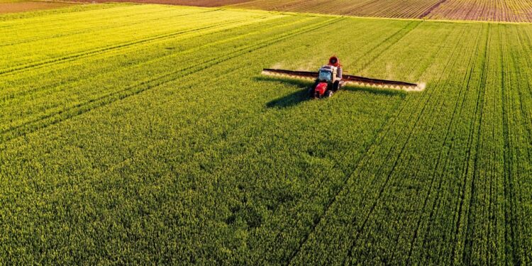 De ce pierderea nutrienților înseamnă și pierdere economică: logica circularității în agricultură